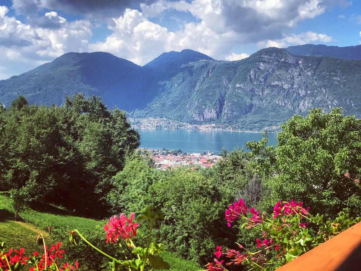 Agriturismo La Selvaggia Mandello del Lario Exterior photo